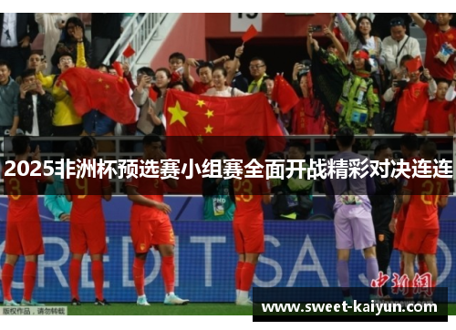 2025非洲杯预选赛小组赛全面开战精彩对决连连